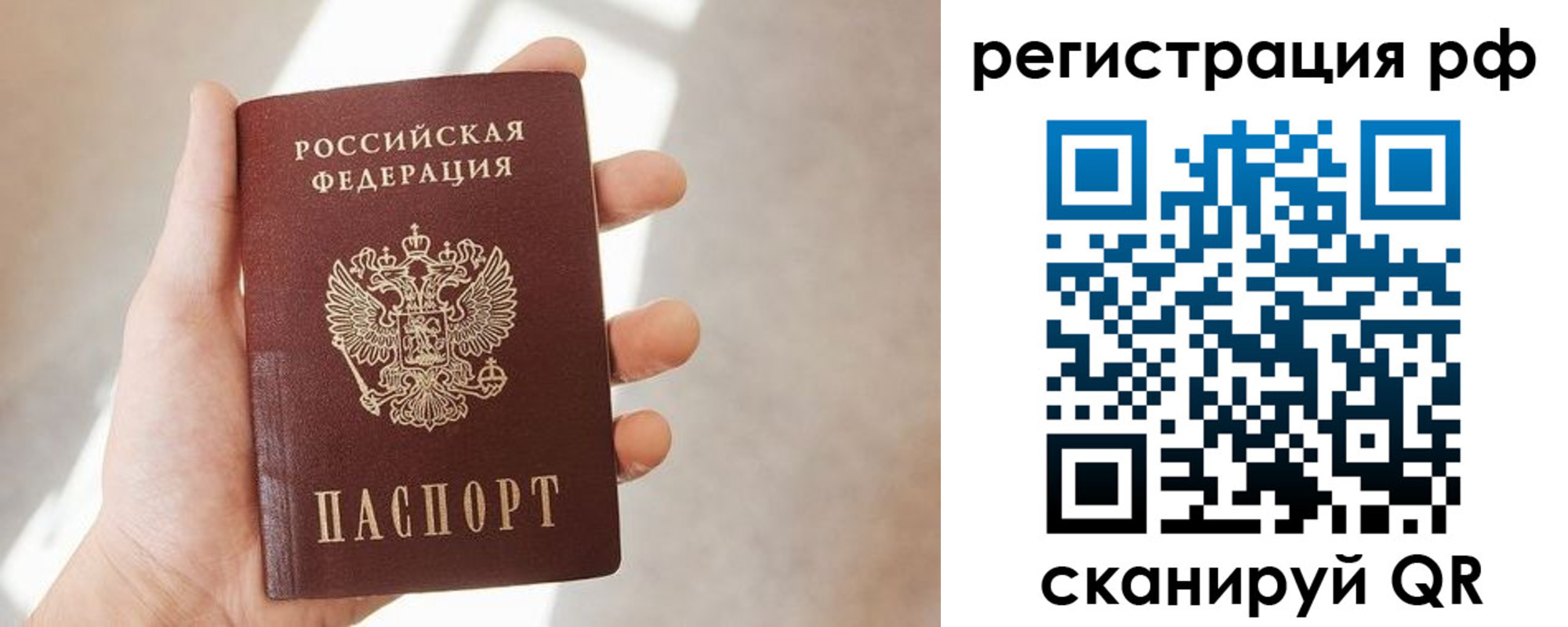 временная регистрация 2025 в Алексеевке